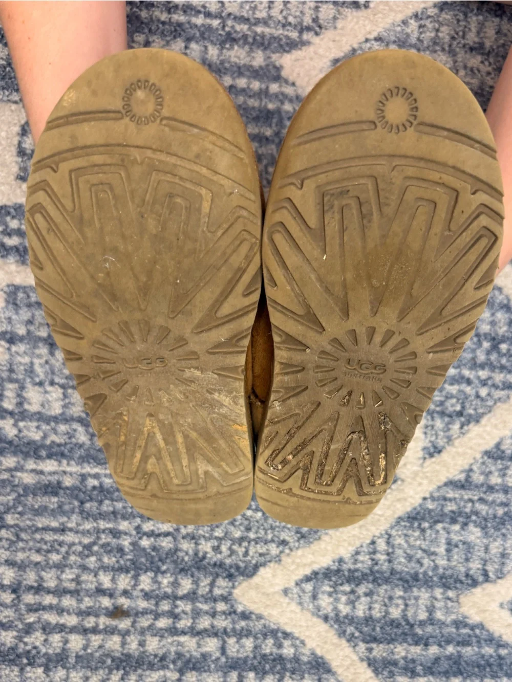 UGG Australia Chestnut Suede Boots